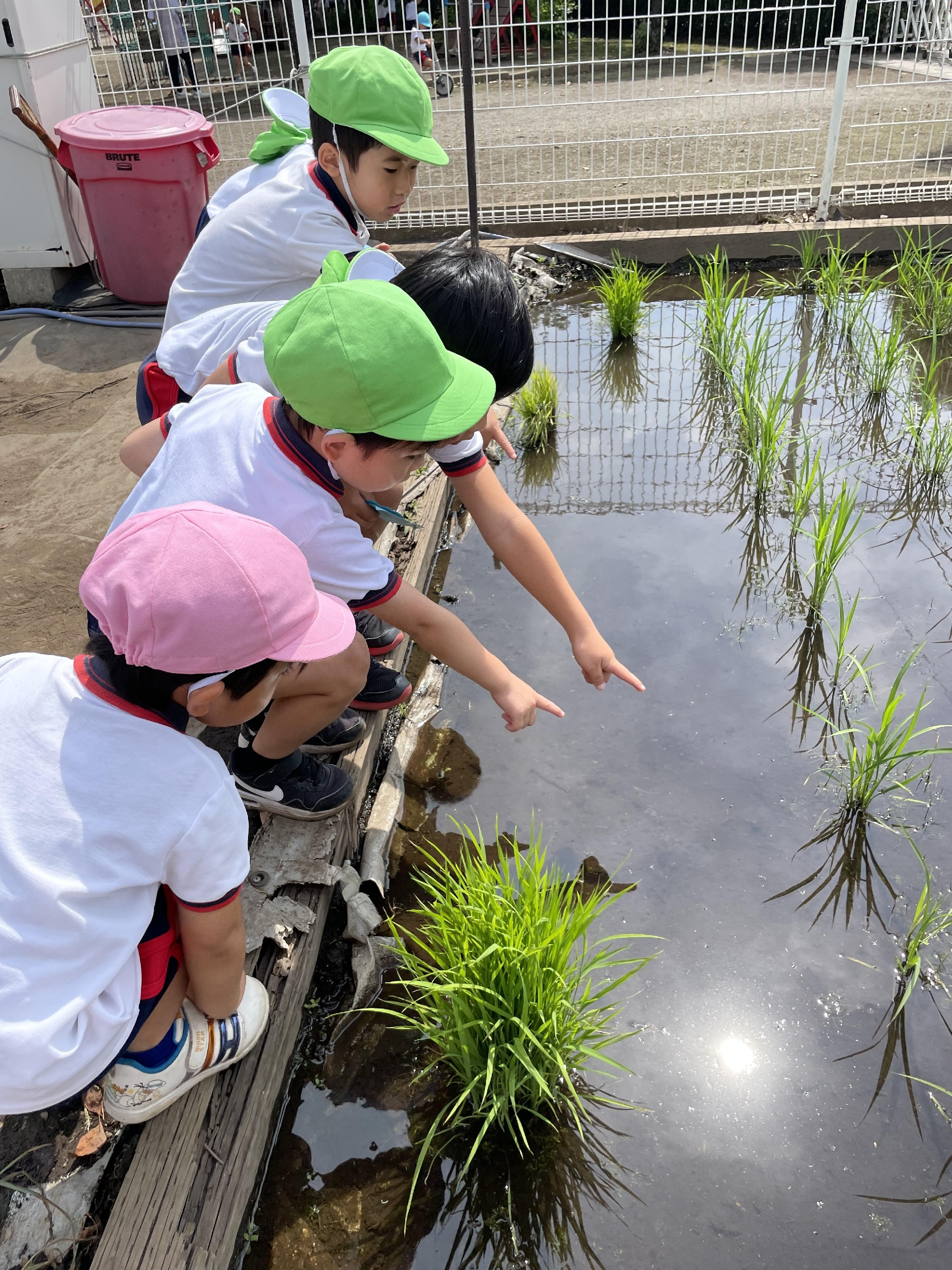 たくさん生き物見～つけた！！